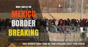 Mexico Border's Breach: Unveiling the Laws Being Broken