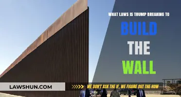 Trump's Wall: Unraveling the Legal Web of Violations