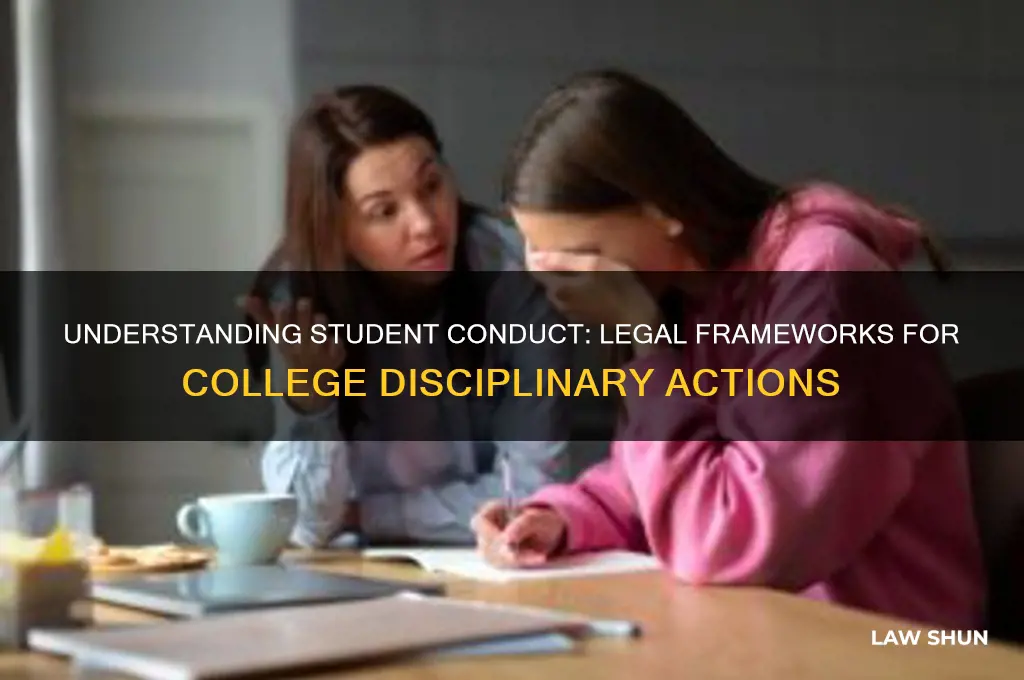 what laws let colleges discipline students