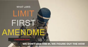First Amendment: What Are the Legal Boundaries?