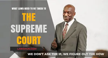 Key Legal Challenges: Which Cases Deserve Supreme Court Review?