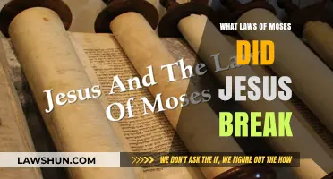 Moses' Laws: Jesus' Revolutionary Challenge and Impact