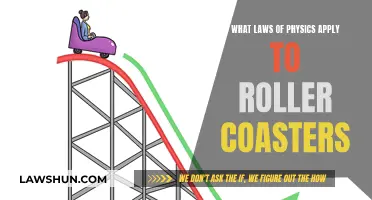 Physics Laws Governing Roller Coasters' Thrills