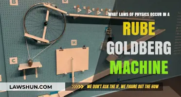 Physics in Motion: Exploring Laws Behind Rube Goldberg Machines