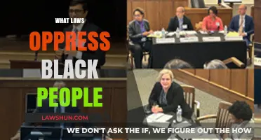 Systemic Racism: Laws That Perpetuate Oppression Against Black Communities