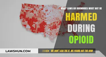 Opioid Use: Legal Boundaries and Ethical Limits to Never Cross