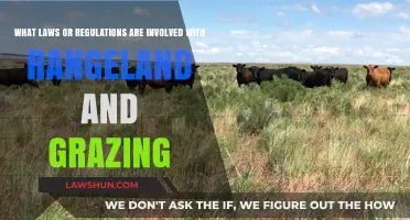 Understanding Rangeland Grazing: Key Laws and Regulations Explained
