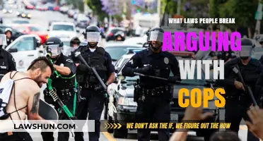 Unraveling the Web of Misunderstanding: Common Laws Broken During Police Confrontations