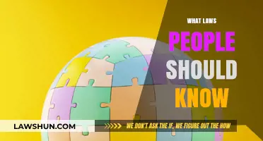 Essential Laws Everyone Should Understand to Navigate Life Confidently