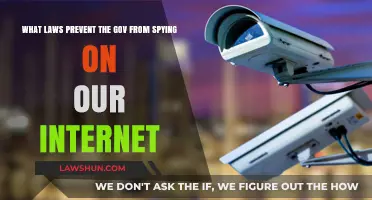 Protecting Privacy: Laws Limiting Government Surveillance of Internet Activity