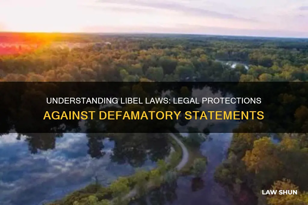 what laws protecf people from libel