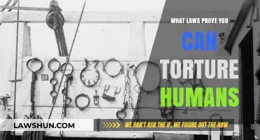 Torture Laws: When is it Legal to Inflict Pain?