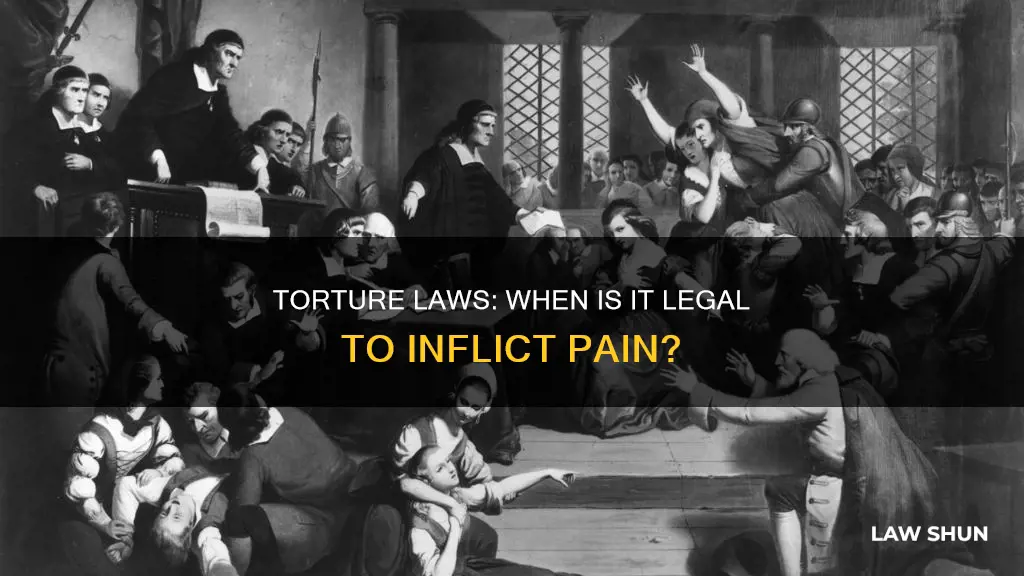 what laws prove you can torture humans
