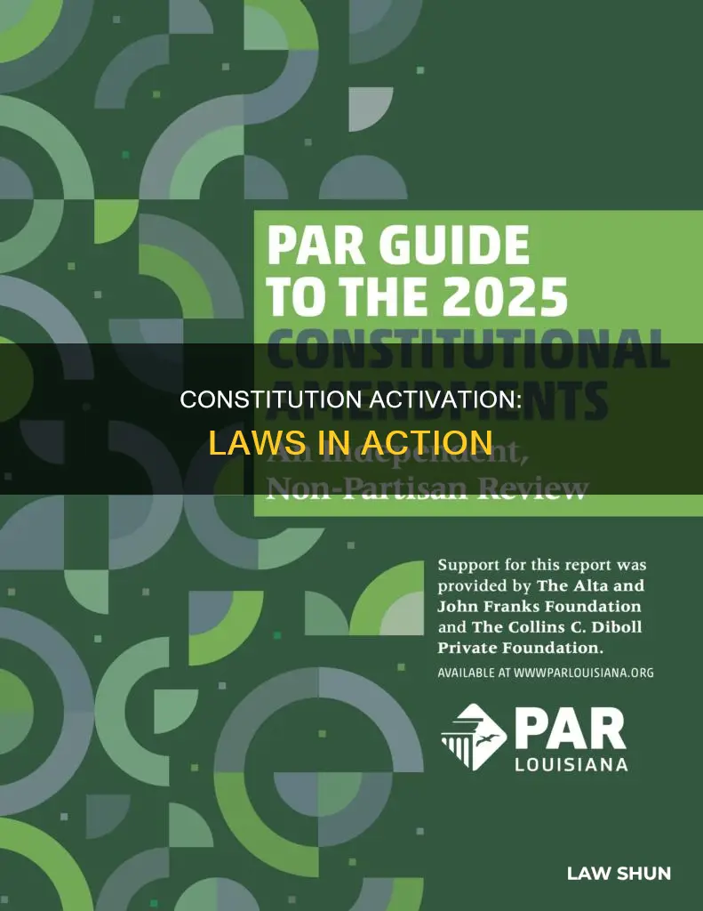 what laws put the constitution in actions