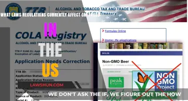 US GM Food Laws: Current Regulations and Compliance Overview