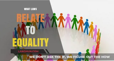 Understanding Equality Laws: Key Legislation for Fairness and Inclusion