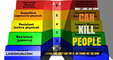 When Can Police Use Deadly Force?