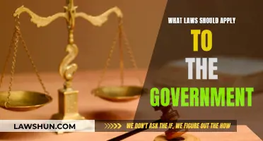 Governing the Government: What Laws Should Apply?