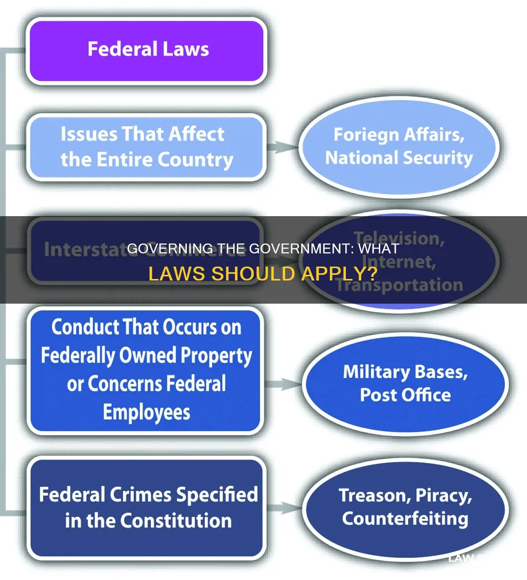 what laws should apply to the government