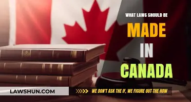 Canada's Legal Landscape: New Laws We Need
