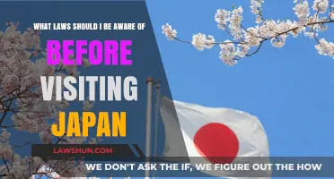 Essential Japanese Laws Every Tourist Must Know Before Visiting Japan