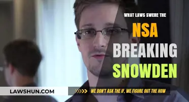 NSA's Secret Surveillance: Snowden Exposes Massive Law-Breaking Operation