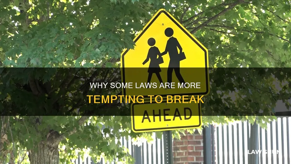 what laws tempt people to break them more commonly