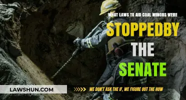 Senate Blocks Key Laws Aimed at Protecting Coal Miners' Safety