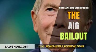 Bailout Laws: Post-AIG Financial Regulations