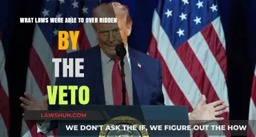 Veto Power: Which Laws Can Be Overridden by Presidential Authority?
