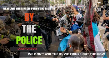 Police Violations: Laws Broken During King Protests Uncovered