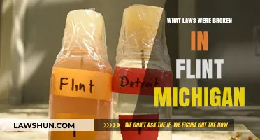 Flint Water Crisis: Uncovering the Legal Violations and Accountability