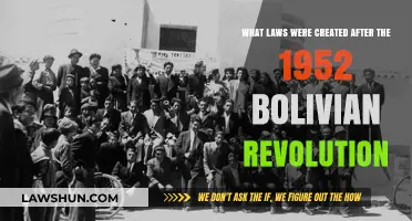 Bolivian Revolution's Legal Legacy: Laws Post-1952