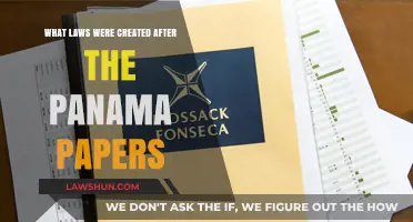 Panama Papers Legacy: New Laws to Fight Tax Evasion