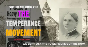 Prohibition Laws: The Temperance Movement's Legal Legacy