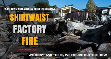 New York's Response to the Triangle Factory Fire