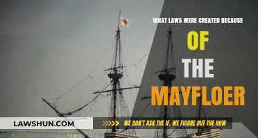 Mayflower's Legacy: Laws Forged by Pilgrims' Voyage