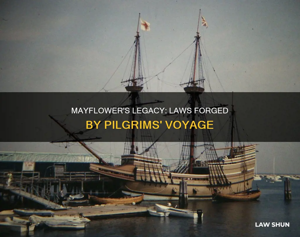 what laws were created because of the mayfloer