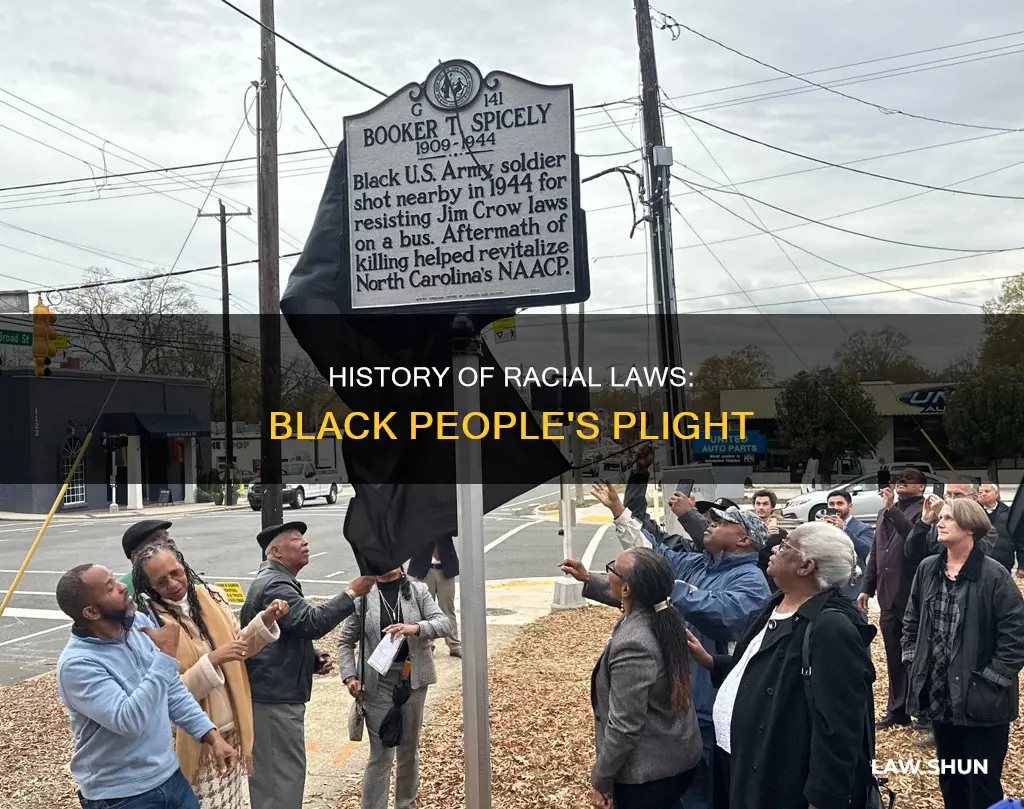 what laws were created towards blacks