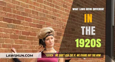 Laws of the 1920s: A Decade of Change
