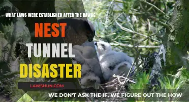 Hawks Nest Tunnel Disaster: Legal Reforms and Worker Safety Laws