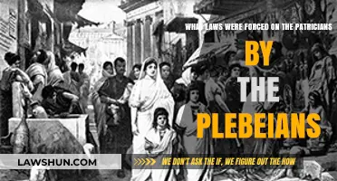 Plebeian Power: Laws Imposed on Patricians in Ancient Rome
