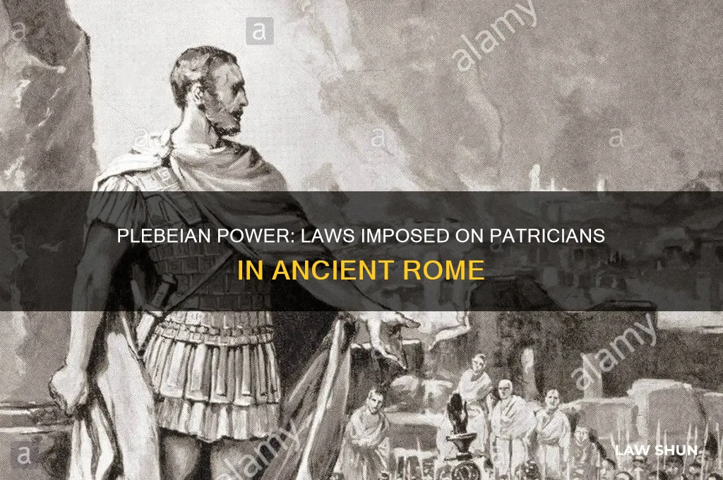 what laws were forced on the patricians by the plebeians