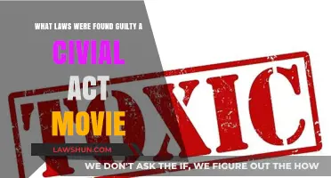 Civil Action Movie: Laws Found Guilty in Real-Life Case