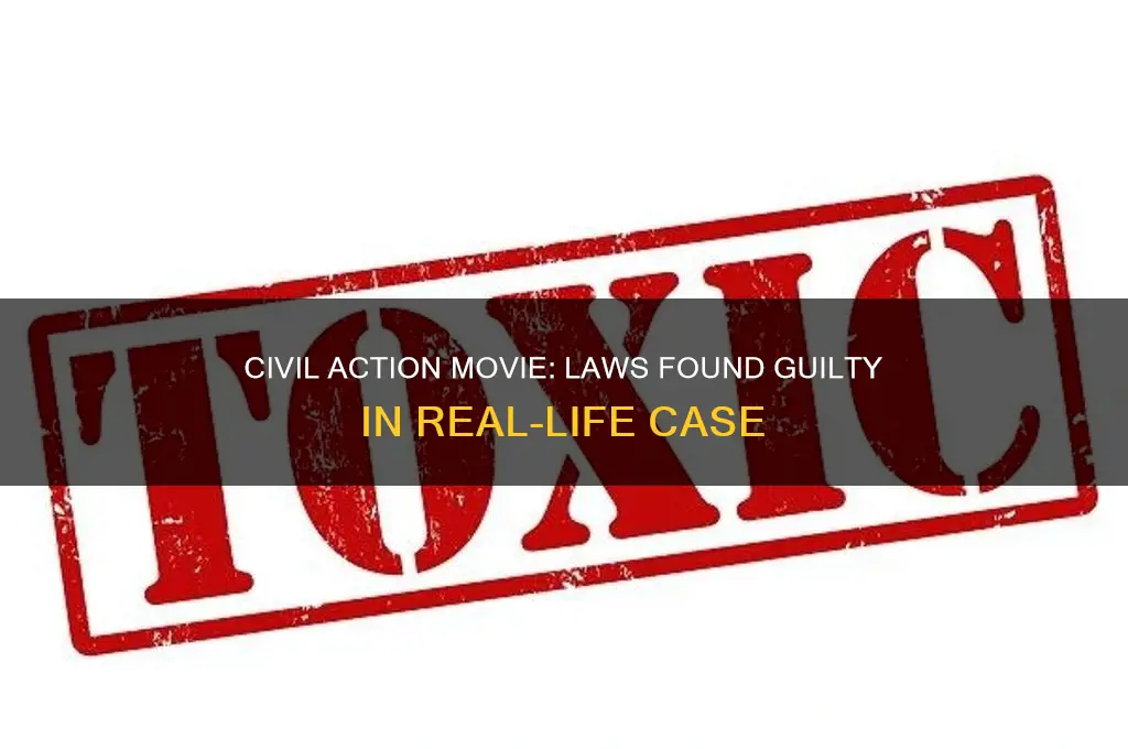 what laws were found guilty a civial act movie