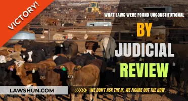 Unconstitutional Laws Overturned: Key Cases in Judicial Review History