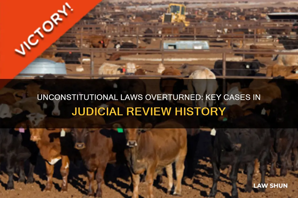 what laws were found unconstitutional by judicial review