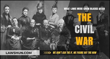 Post-Civil War Black Rights: Legal Changes and Freedmen's Struggles