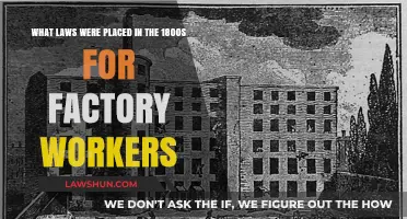 19th-Century Factory Worker Laws: Protecting Labor Rights in the Industrial Era