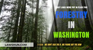 Washington's Forestry Laws: Key Regulations Shaping Sustainable Forest Management
